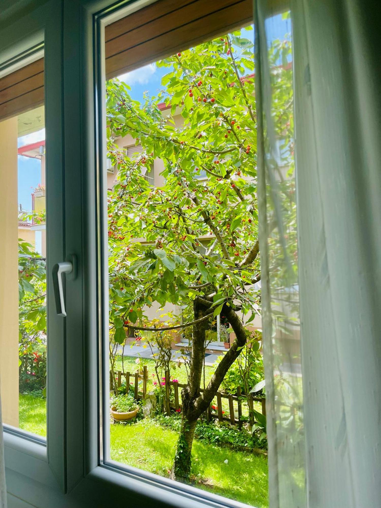 Le Rose Apartment Триест Екстериор снимка